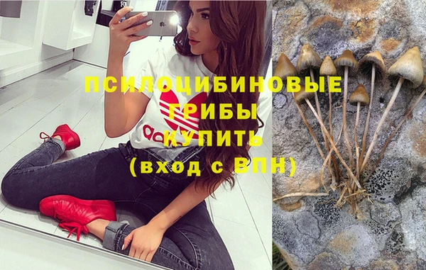 mdpv Пересвет