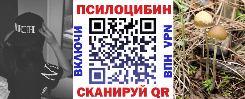 Галлюциногенные грибы Cubensis  Похвистнево 