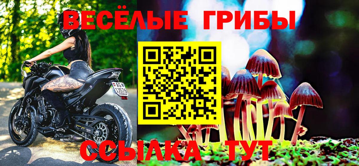 Галлюциногенные грибы GOLDEN TEACHER  Вход с VPN  Похвистнево 