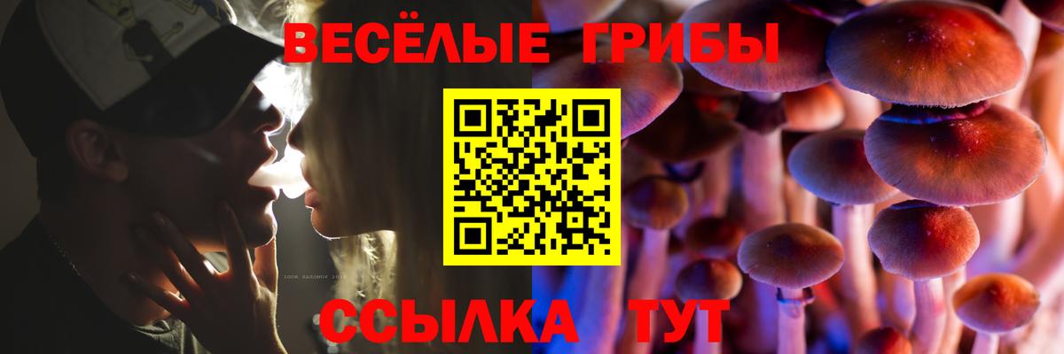 Псилоцибиновые грибы Psilocybe Похвистнево